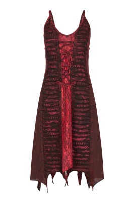 Nirvana razor and lace pixie dress